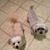 Susan Key's profile image