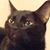 Kristina Herrboldt's profile image