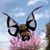 Missy Palmer Hawkins's profile image