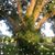 Andrea Jung Marschall's profile image