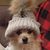 Jodi Theodore's profile image