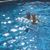 Beth Currin Woodlief's profile image