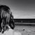 Katrina A. Tedesco's profile image