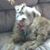 John Hawkins's profile image