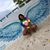 Alley VanEtten's profile image