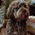 Elaine Noonan's profile image