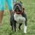 Donnie Smith's profile image