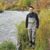 Delius Mak's profile image