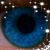 David Bradley's profile image