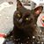 Judy Palmer's profile image