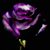 فدوى الحسن's profile image