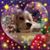 Rambling McClures's profile image