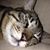 Patricia Zanetti Bianchi's profile image