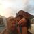 Joyce Alexis's profile image