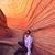 Lucy Ortiz Wilke's profile image