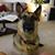 Don Krikorian's profile image
