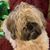 Judy Boyd's profile image