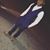 Marcellis Mathews's profile image