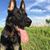 E.Y. Loos's profile image