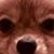 Mancheong Lau's profile image