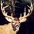 Charles Termine's profile image