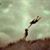 Susan Reitzel's profile image
