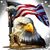 Dan Kelly's profile image