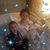 Korah Stegall's profile image