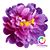 Lyn N Dave Wilson's profile image