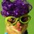 Jamie Clarke's profile image