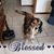 Cheryl Hughes's profile image