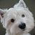 Kristi A. Chiocco's profile image