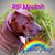 Nikki Davenport's profile image