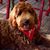 Paul Grochow's profile image