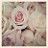 Lynas Lajter's profile image
