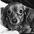 Jim Templin's profile image