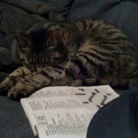 Brian Reeves's profile image