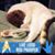 Sharon Rath Anderson's profile image