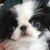 Ike Isaac Keith Wood's profile image