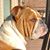 Tony Shaver's profile image