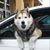 Koji Brimm's profile image