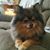 Marlene Mercier Diamond's profile image