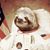 Steve Hackley's profile image