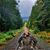 Linda Garbis's profile image