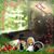 Joy Charbonneau's profile image