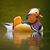 Jamie le Lam's profile image