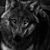 Barb Stile's profile image