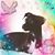 Pamela Lydia Carroll's profile image