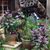 Kathy Fowkes Hindmarsh's profile image