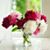 金娜's profile image